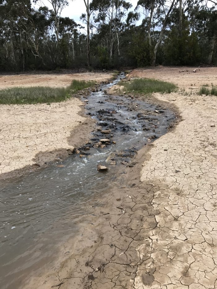 Green gully reservoir inflow