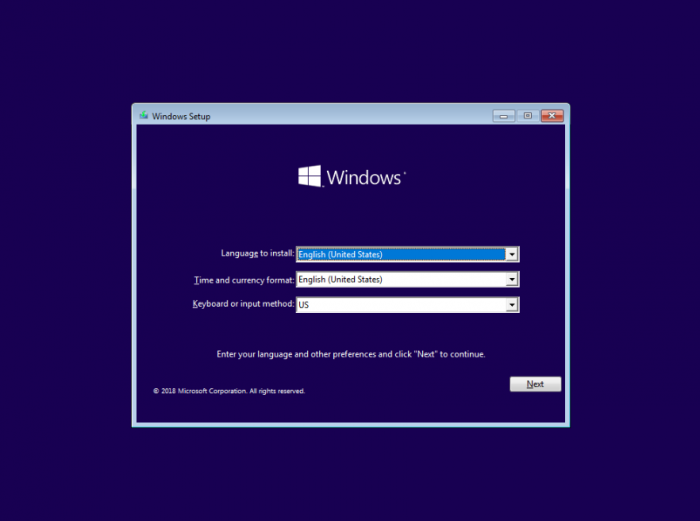 Windows 10 Pro Vultr ISO install 1