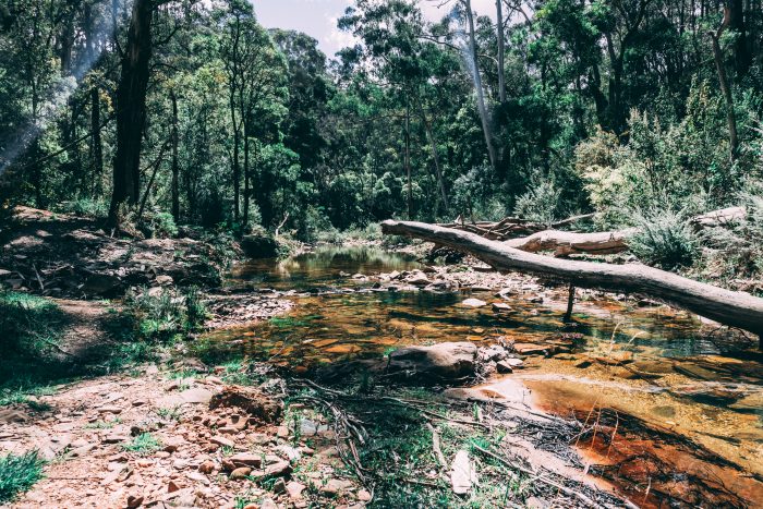 Lerderderg River tunnel downstream 2