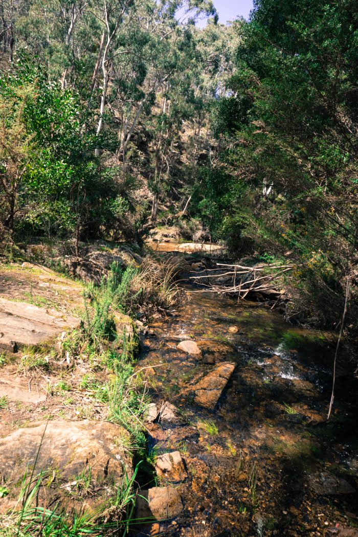 Lerderderg River tunnel downstream
