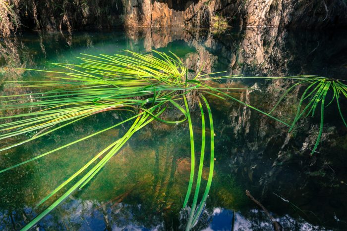 Lerderderg River tunnel plant