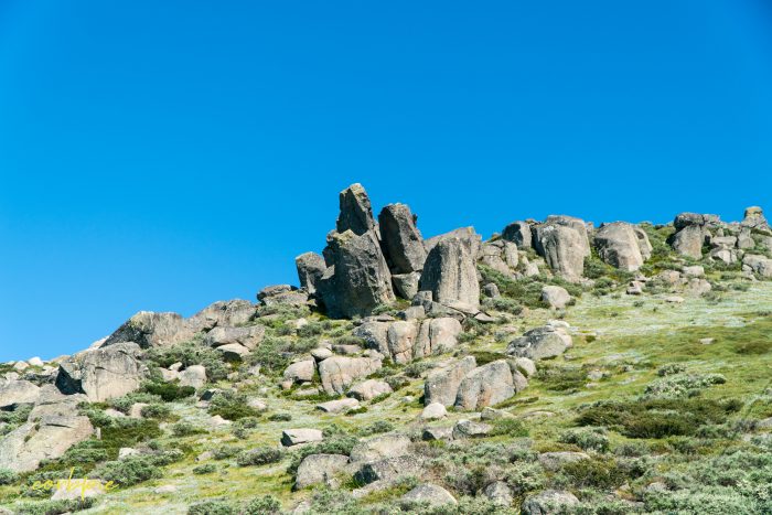 On the way up Mt Kosciuszko Summer 2019 On the way up Mt Kosciuszko Summer 2019