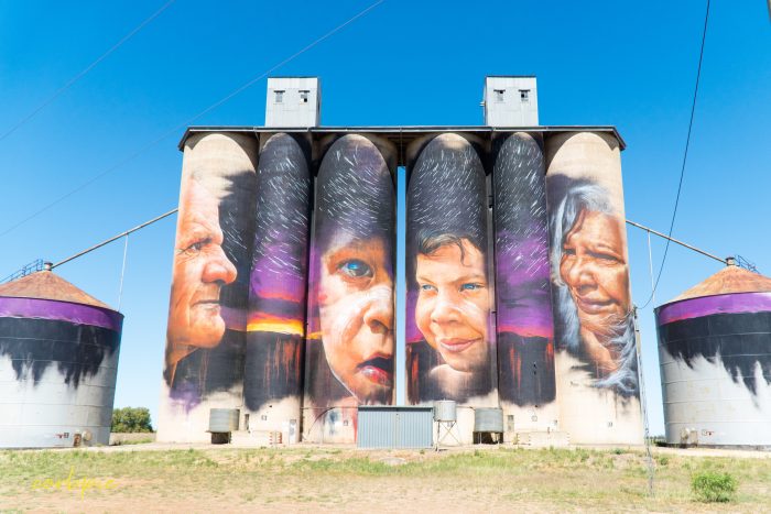 Sheep hills silo art silo trail 2019 1