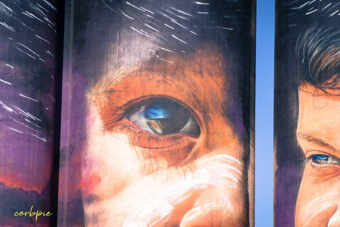 Sheep hills silo art silo trail 2019 2