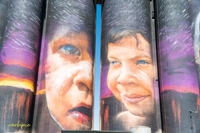 Sheep hills silo art silo trail 2019 3