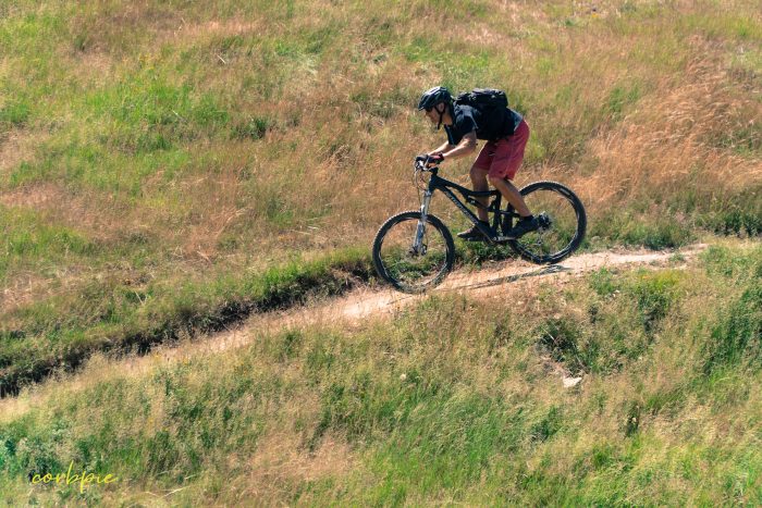 Thredbo MTB summer 2019 a6500 4