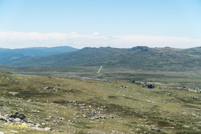 distant path Mt Kosciuszko Summer 2019 distant path Mt Kosciuszko Summer 2019