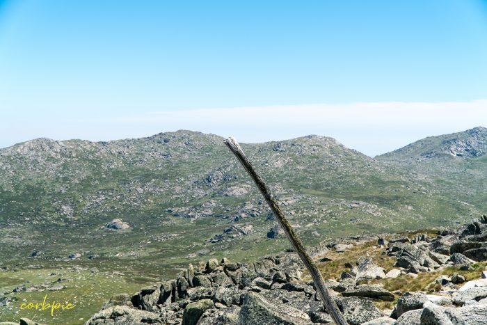 lone log Mt Kosciuszko Summer 2019 lone log Mt Kosciuszko Summer 2019