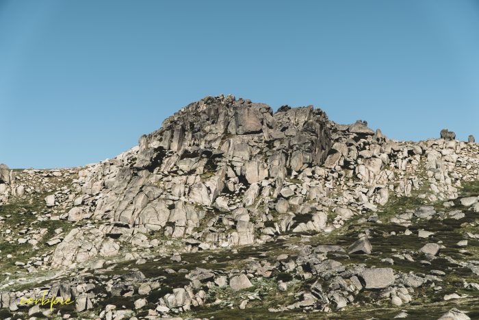 rock cluster Mt Kosciuszko Summer 2019 rock cluster Mt Kosciuszko Summer 2019