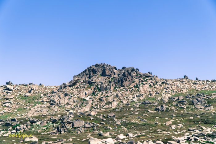 rocky terrain Mt Kosciuszko Summer 2019 rocky terrain Mt Kosciuszko Summer 2019