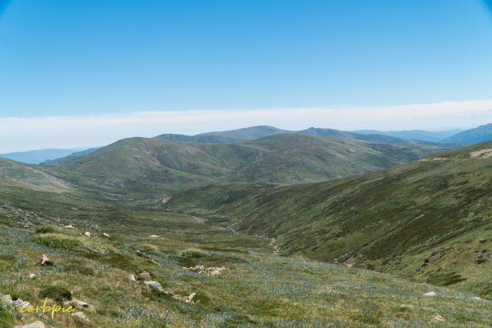 vast valleys vast valleys