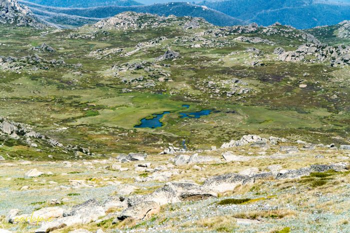 view from the top Mt Kosciuszko Summer 2019 2 view from the top Mt Kosciuszko Summer 2019 2