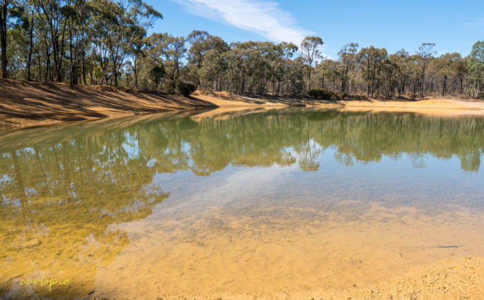 sigma 16mm sony a6500 example image 10