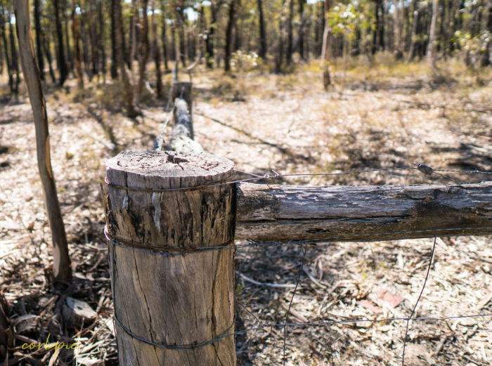 sigma 16mm sony a6500 example image 13