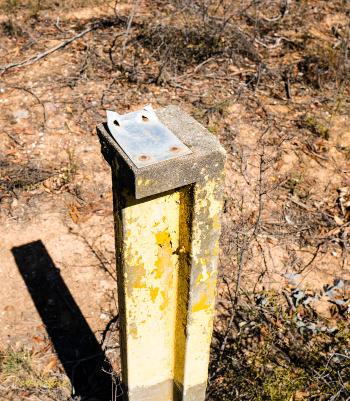 sigma 16mm sony a6500 example image 14