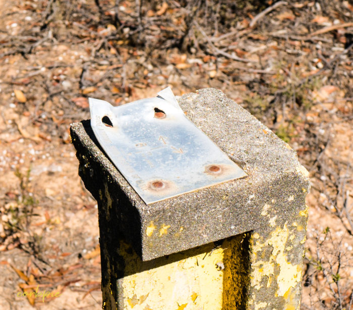 sigma 16mm sony a6500 example image 15