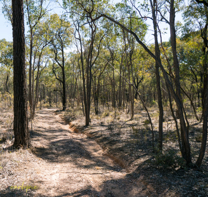 sigma 16mm sony a6500 example image 2