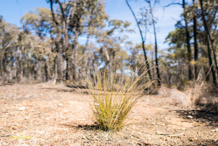 sigma 16mm sony a6500 example image 3