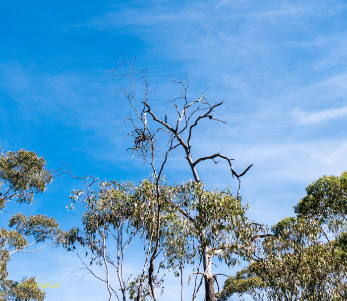 sigma 16mm sony a6500 example image 4