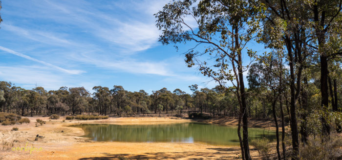 sigma 16mm sony a6500 example image 5