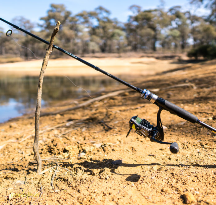 sigma 16mm sony a6500 example image 7