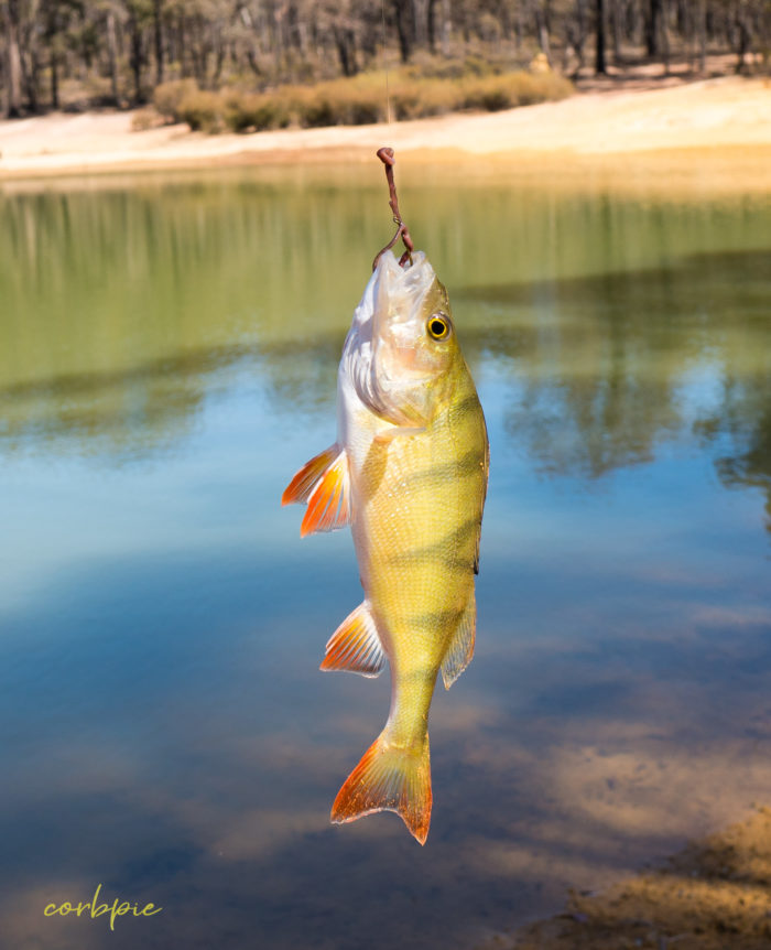 sigma 16mm sony a6500 example image 9