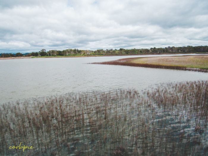 Barkers Creek Reservoir Harcourt drone 20