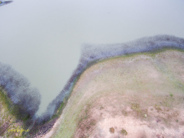 Barkers Creek Reservoir Harcourt drone 6