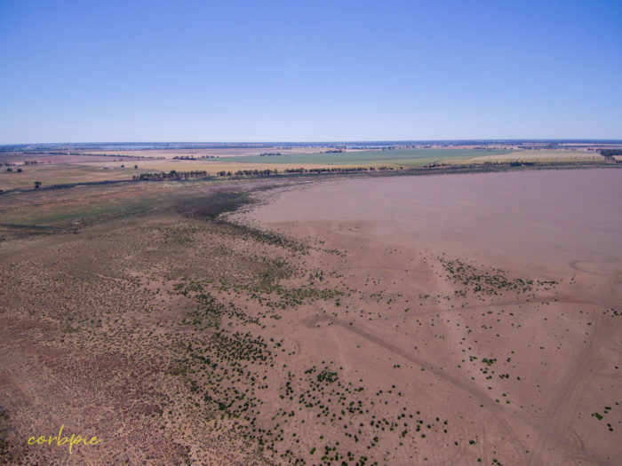 Lake Cooper dry 3
