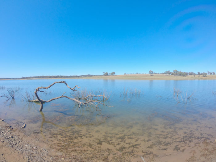 Lake Eppalock smooth