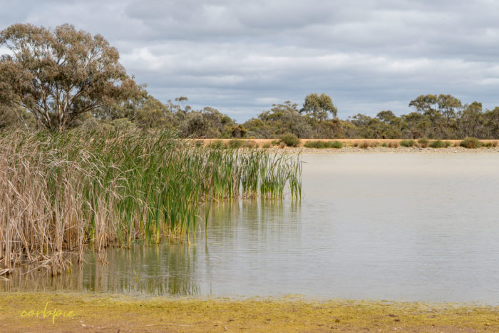 cockatoo hill reservoir 50mm 18
