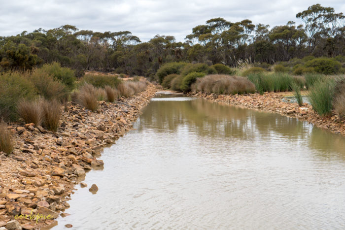 cockatoo hill reservoir 50mm 23