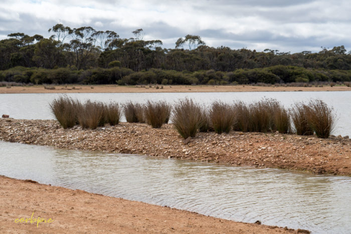 cockatoo hill reservoir 50mm 3