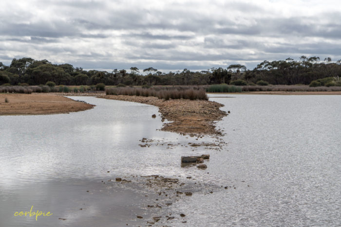 cockatoo hill reservoir 50mm 4