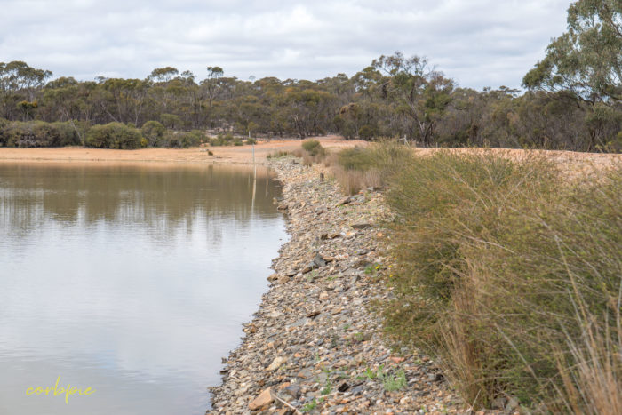cockatoo hill reservoir 50mm 5