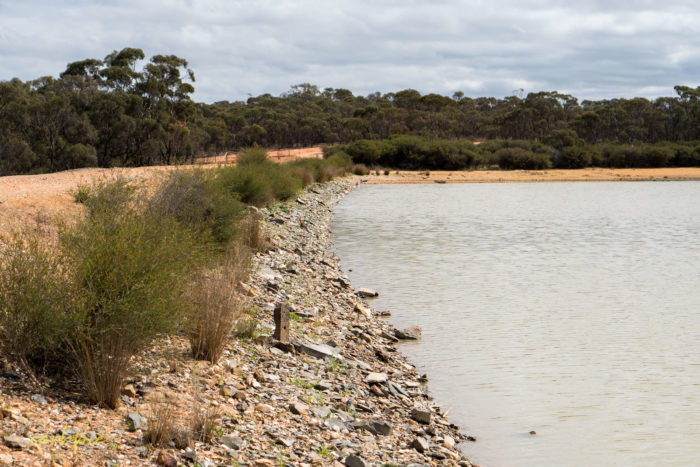 cockatoo hill reservoir 50mm 8
