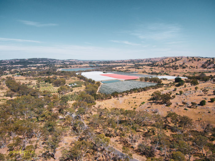 Mount Alexander Barkers creek reservoir