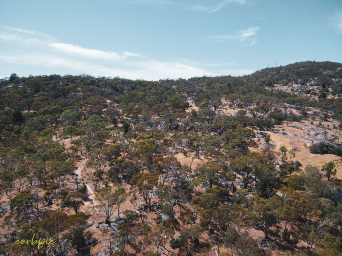 Mount Alexander drone 11