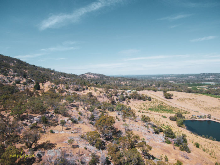 Mount Alexander drone 4