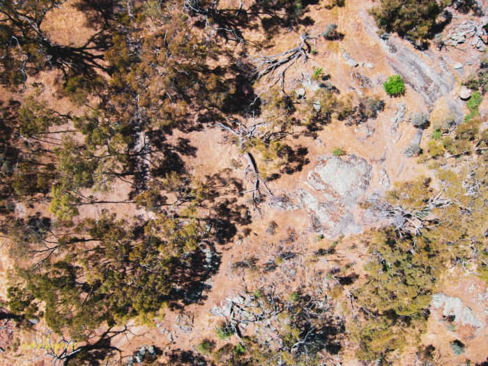 Mount Alexander drone 5