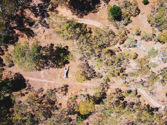 Mount Alexander drone 6