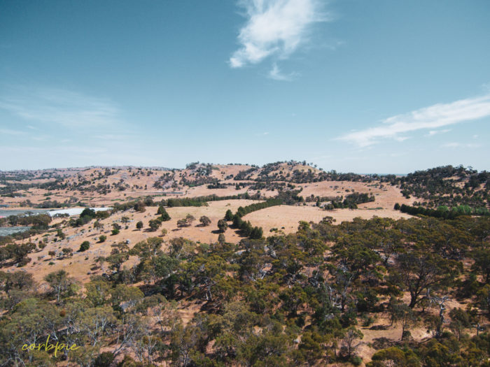 Mount Alexander drone 9