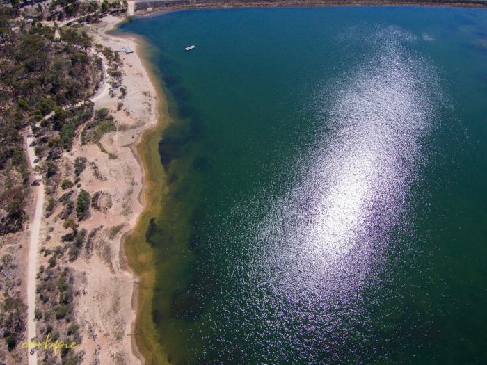 Crusoe Reservoir Bendigo 10