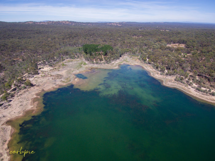 Crusoe Reservoir Bendigo 14