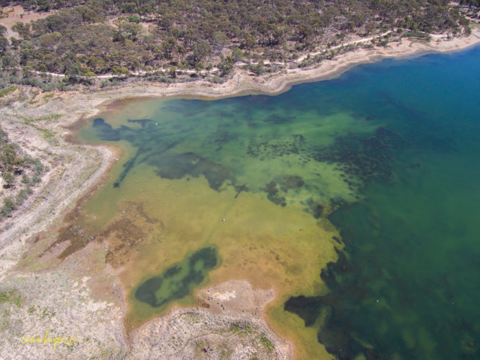 Crusoe Reservoir Bendigo 2