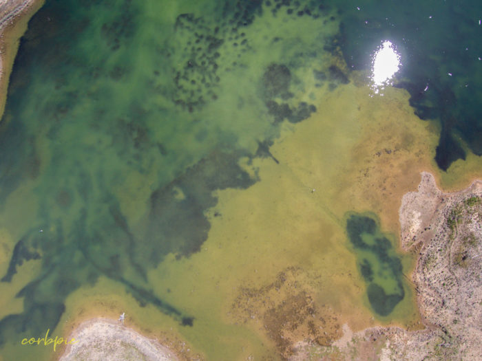 Crusoe Reservoir Bendigo 5