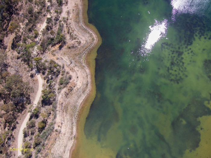 Crusoe Reservoir Bendigo 8