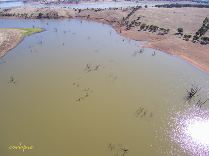 Cairn Curran res drone 2