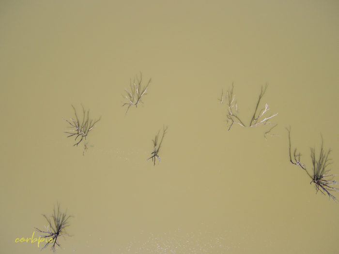 Cairn Curran res drone 7