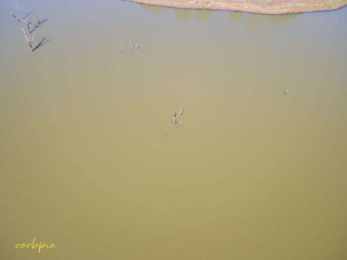 Cairn Curran res drone 8